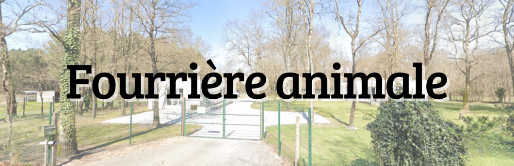 Bande (15).png