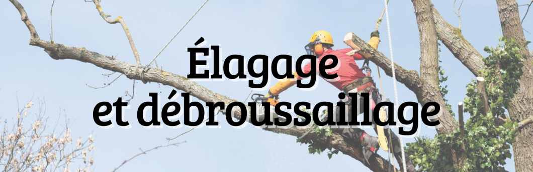Bande (2).png