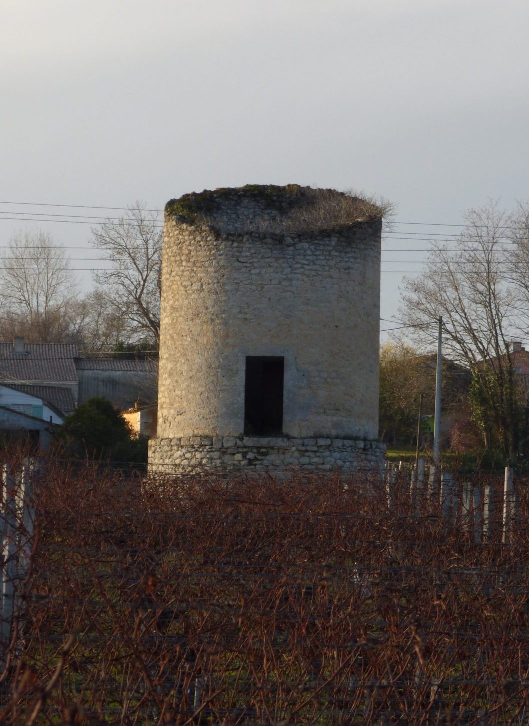 Tour Saint Germain